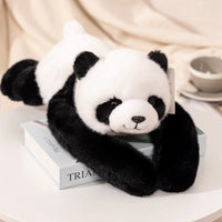 panda krq / about 65cm